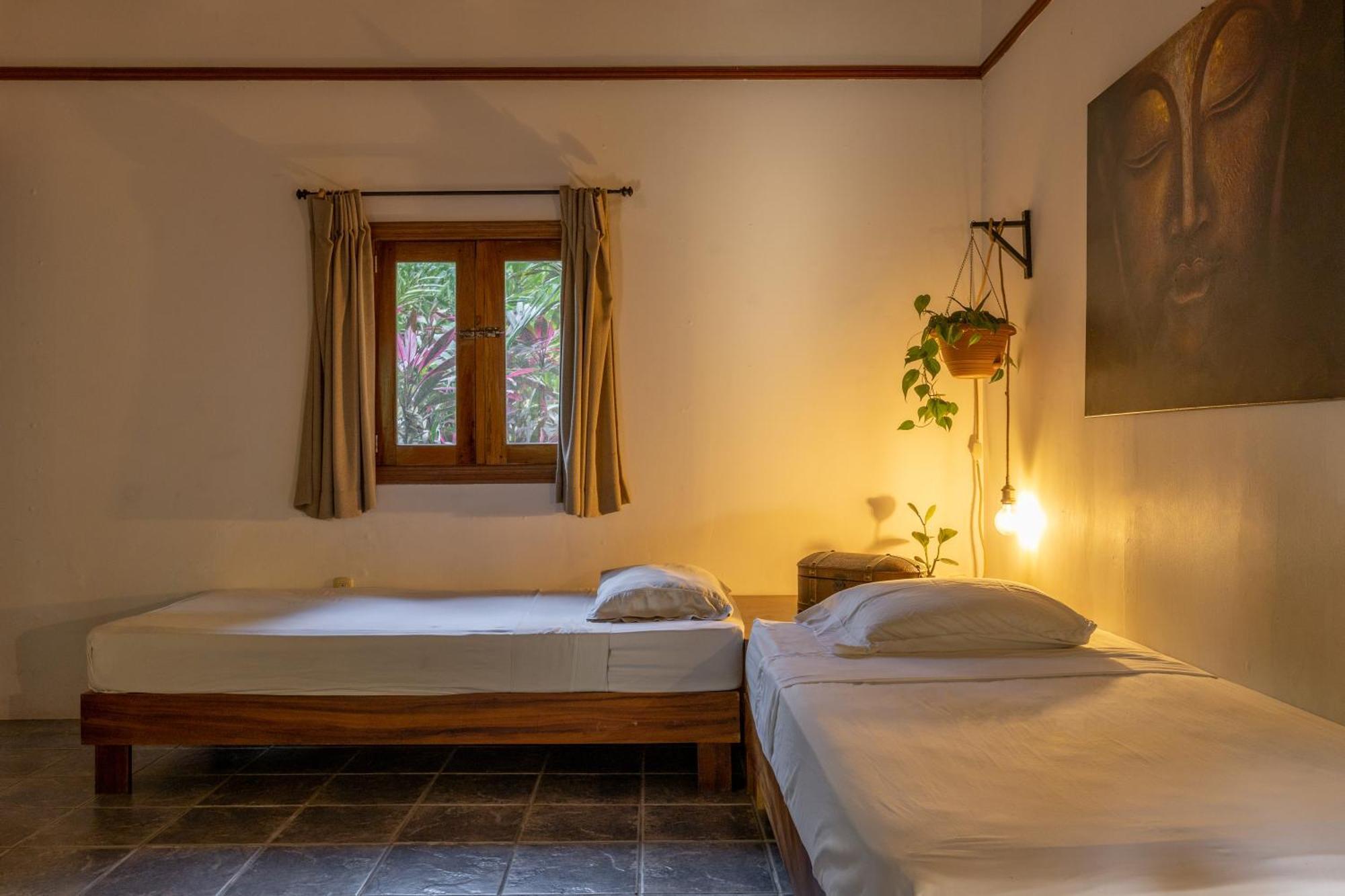 מאל פאיס Star Mountain Jungle Lodge & Horse Ranch מראה חיצוני תמונה
