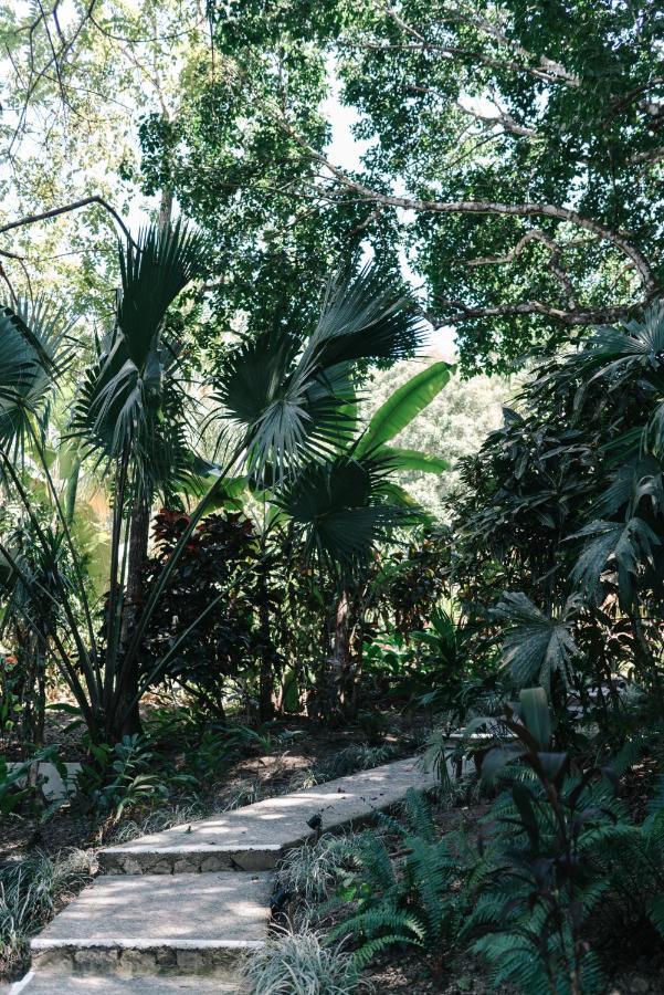 מאל פאיס Star Mountain Jungle Lodge & Horse Ranch מראה חיצוני תמונה